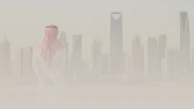 كيفية تحويل رسوم الأراضي البيضاء إلى مشروع مربح؟ تحويل رسوم الأراضي البيضاء إلى مشروع